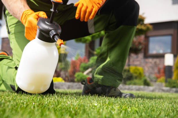 Best Cockroach Control Services  in Coalgate, OK