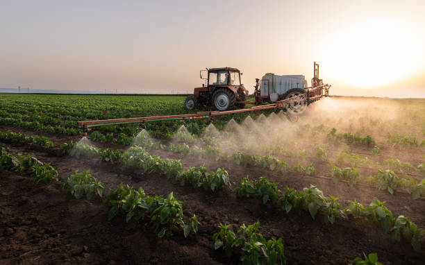 Best Pest Inspection Near Me  in Coalgate, OK