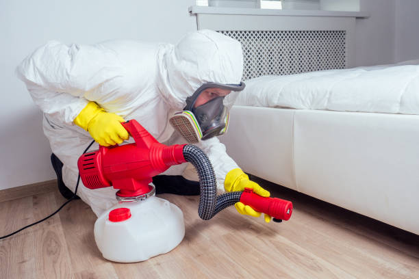 Best Mosquito Control Services  in Coalgate, OK