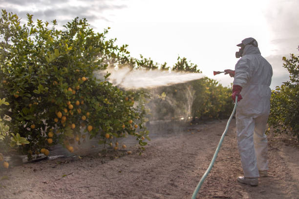 Best Commercial Pest Control Services  in Coalgate, OK