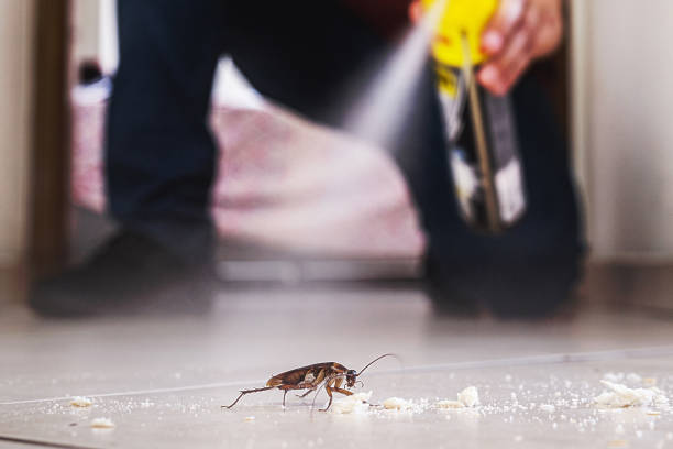 Best Best Pest Control Companies  in Coalgate, OK