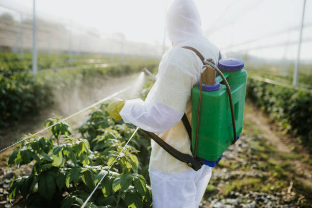 Best Flea Control Services  in Coalgate, OK